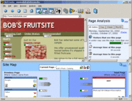 ClickTracks Analyzer screenshot